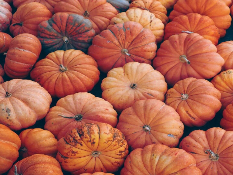 Strašidelné recepty na Halloween