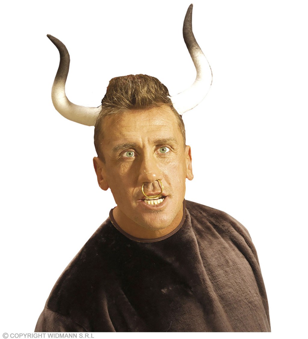 Býčie rohy