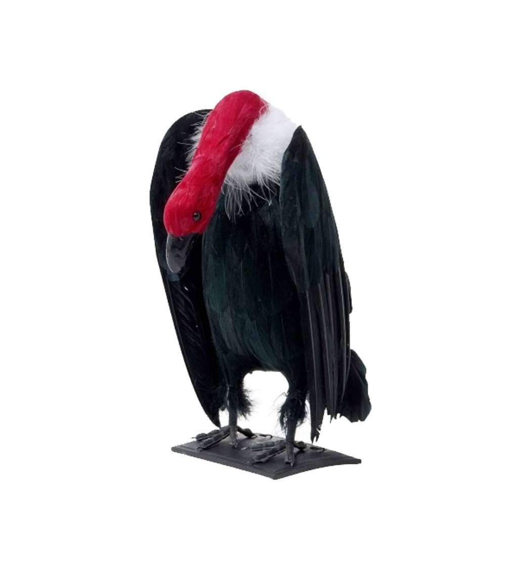Dekorácia Černý sup