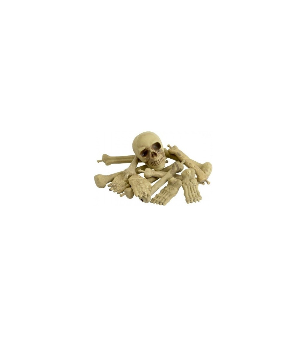 Halloweenská sada Kostí
