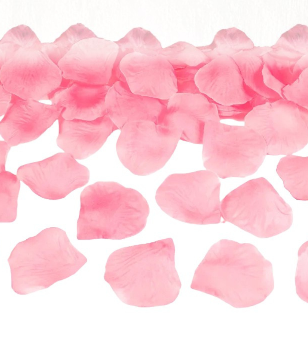 Svetlo ružové lupene ruží