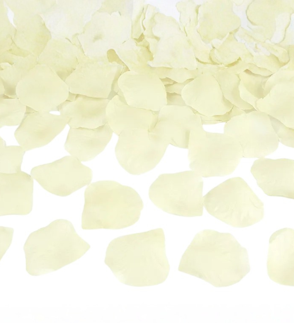 Krémové lupene ruží