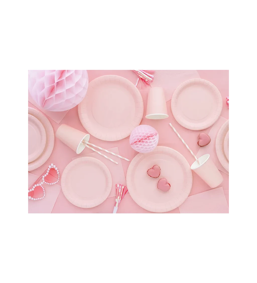 Svetloružové tanieriky - 6 ks