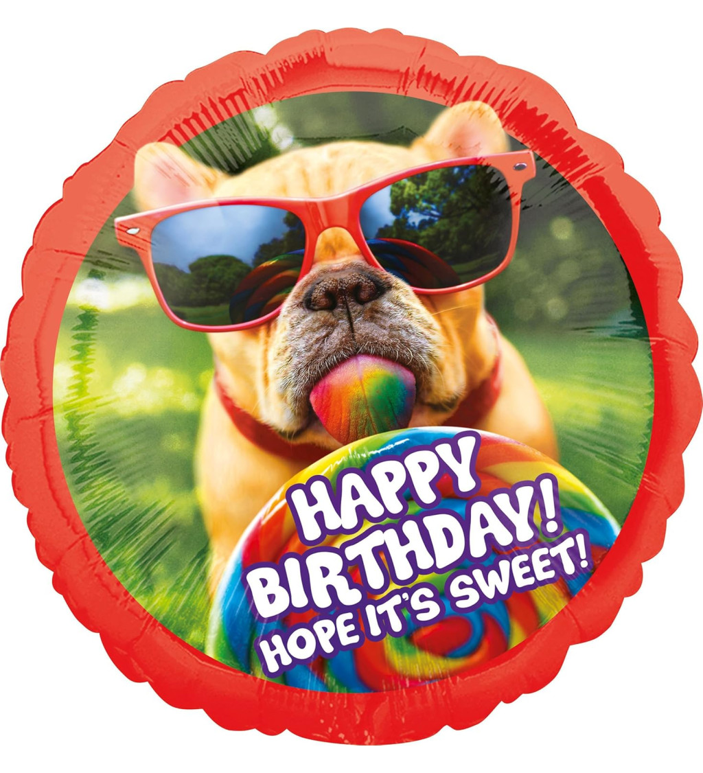 Balónik psík - Happy Birthday