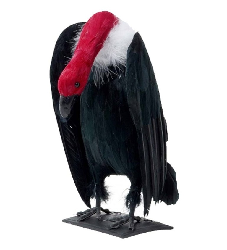 Dekorácia Černý sup