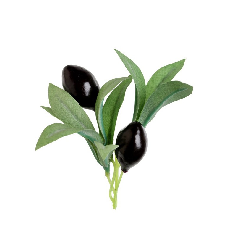 Dekorácia olivy