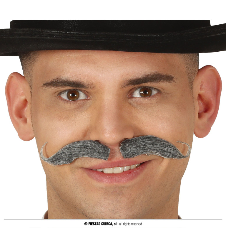 Šedý bavorský fúz