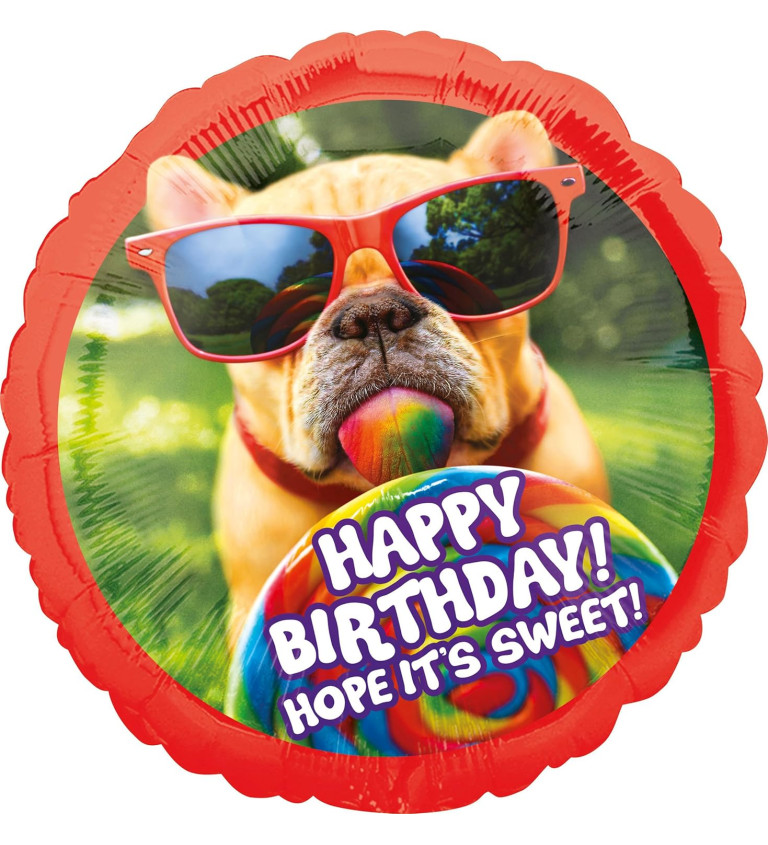Balónik psík - Happy Birthday
